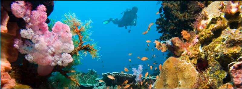 A deeper dive into site optimisation